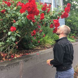 Meet your Posher, Alex